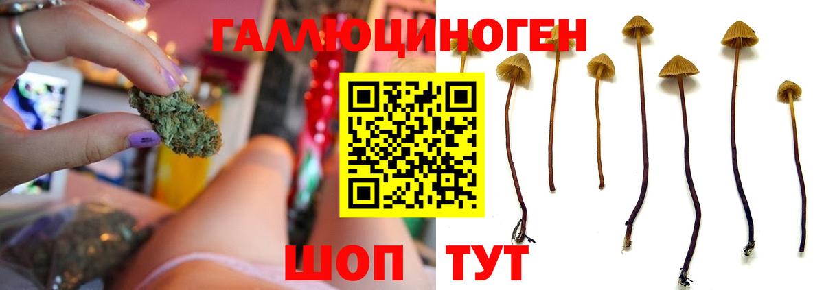 Галлюциногенные грибы мицелий Лянтор